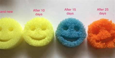 scrub daddy net worth|Scrub Daddy Net Worth: Journey to $220 Million Success